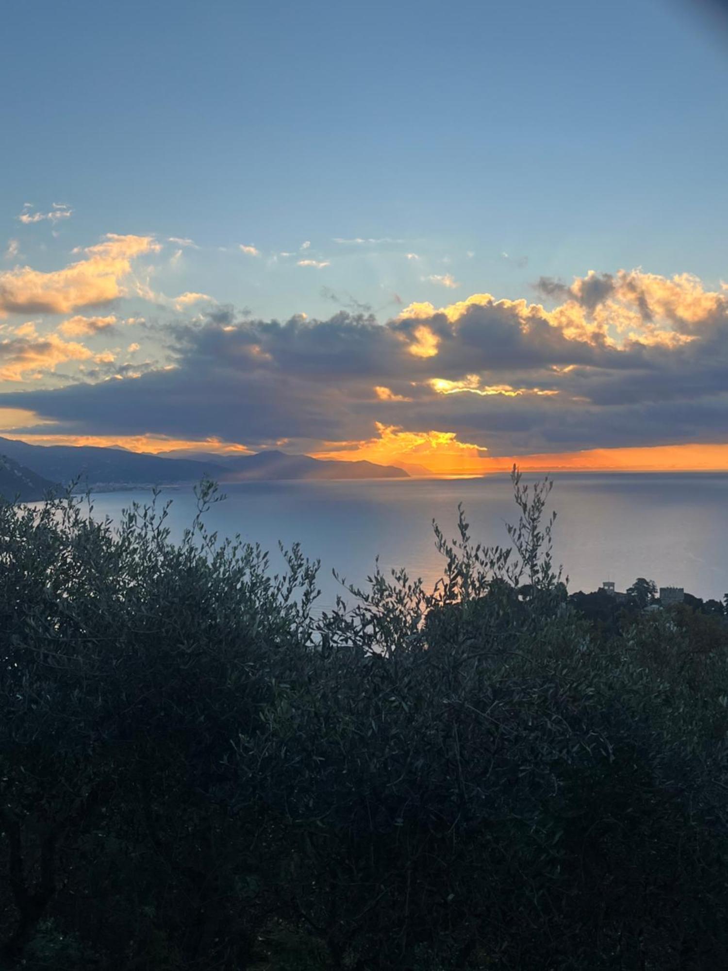 La Conchiglia Bed & Breakfast Camogli Zewnętrze zdjęcie