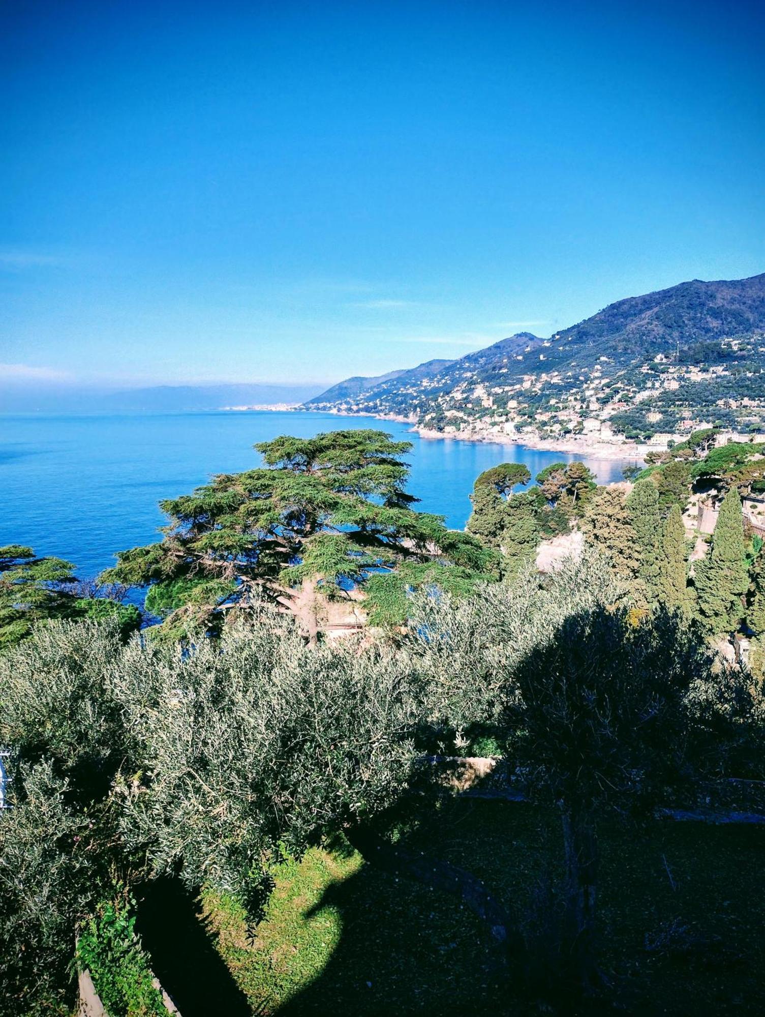 La Conchiglia Bed & Breakfast Camogli Zewnętrze zdjęcie