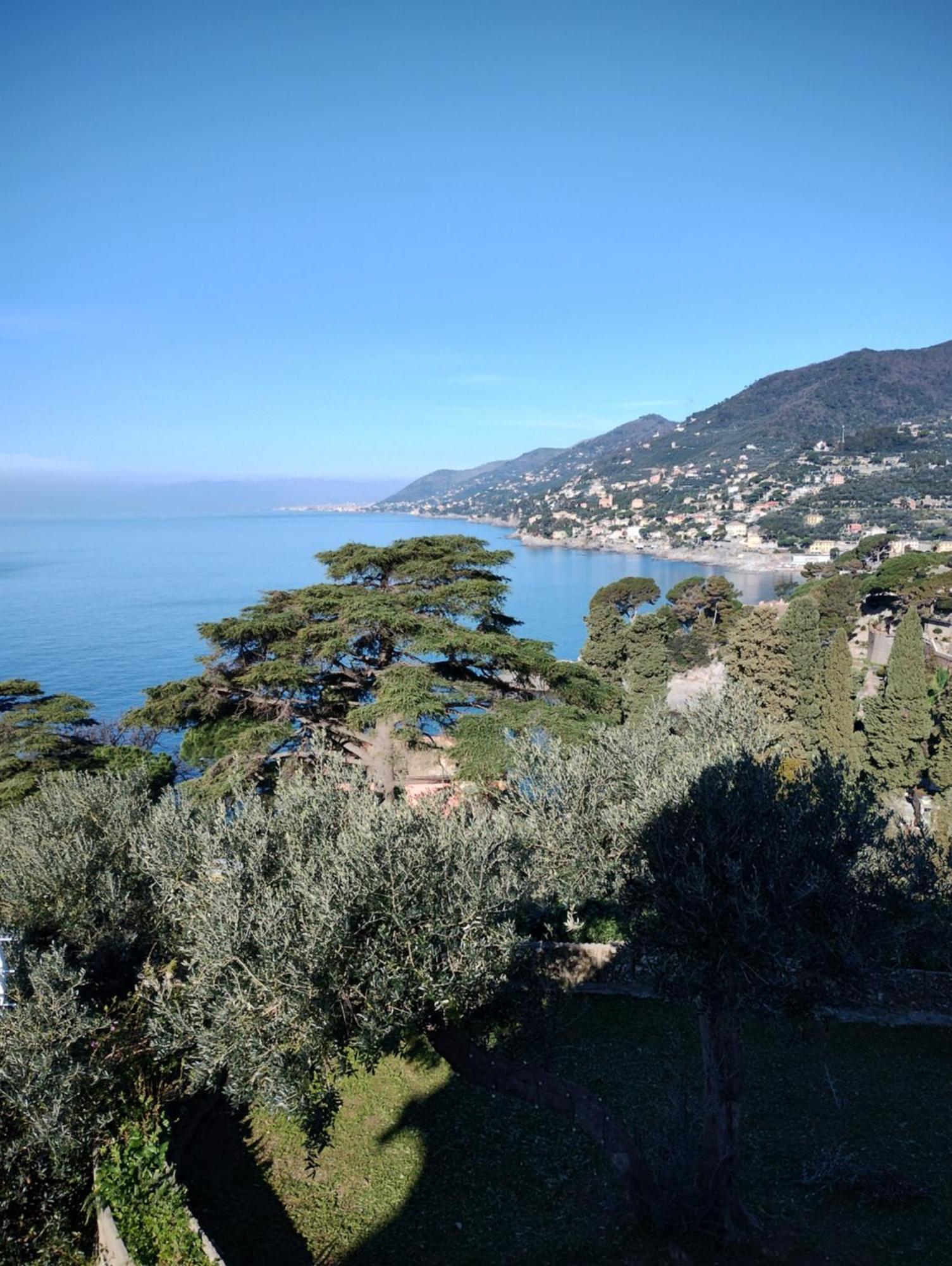 La Conchiglia Bed & Breakfast Camogli Zewnętrze zdjęcie